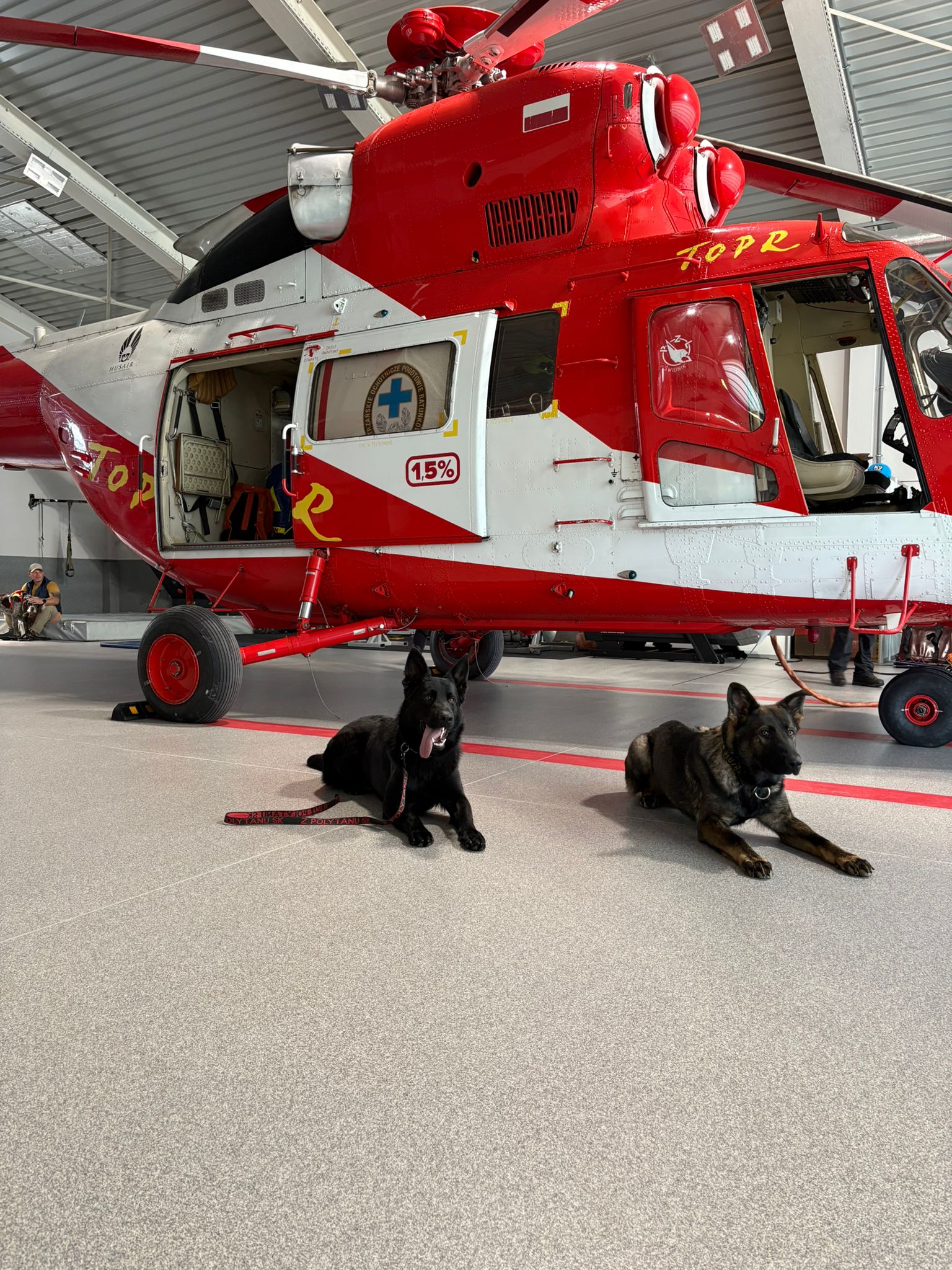 Spoločné cvičenie slovenských a&nbsp;poľských kynológov